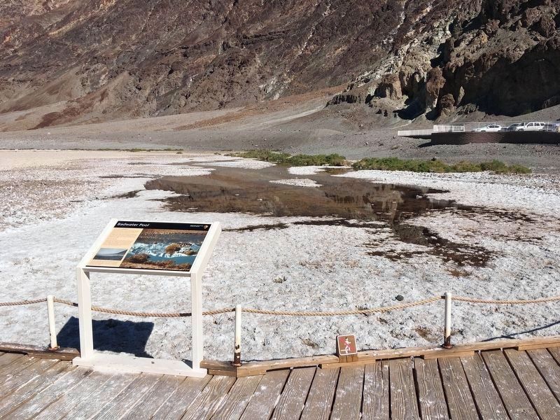 Badwater Pool and Marker image. Click for full size.