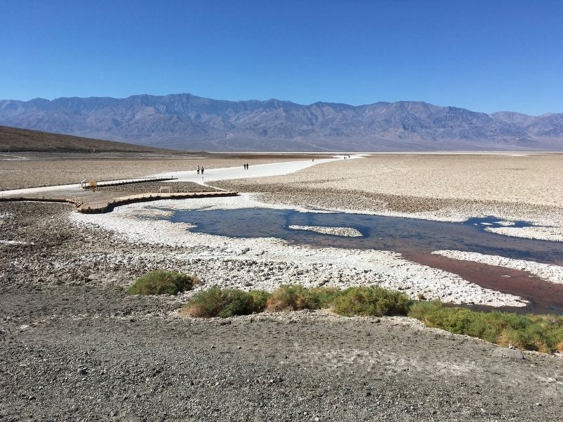 Badwater Pool image. Click for full size.