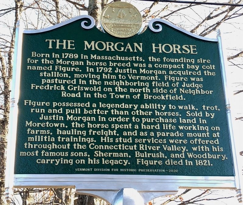 The Morgan Horse image. Click for full size.