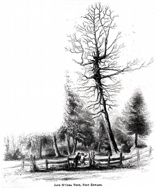 Jane McCrea Tree, Fort Edward image. Click for full size.