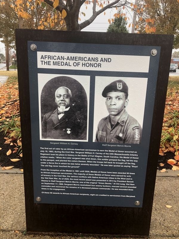 African Americans and the Medal of Honor Marker image. Click for full size.
