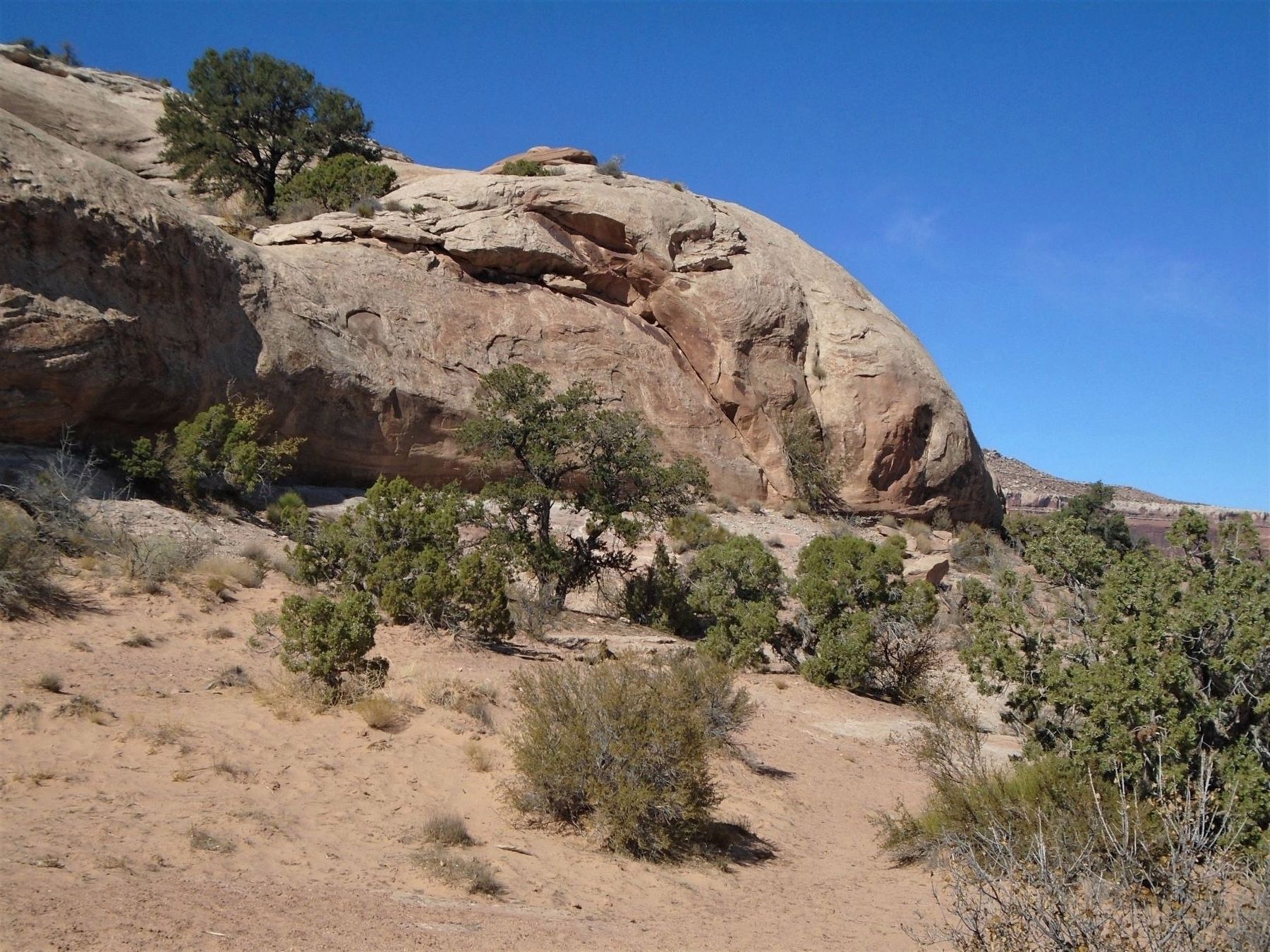 Presumed Navajo Sandstone Formation image. Click for full size.