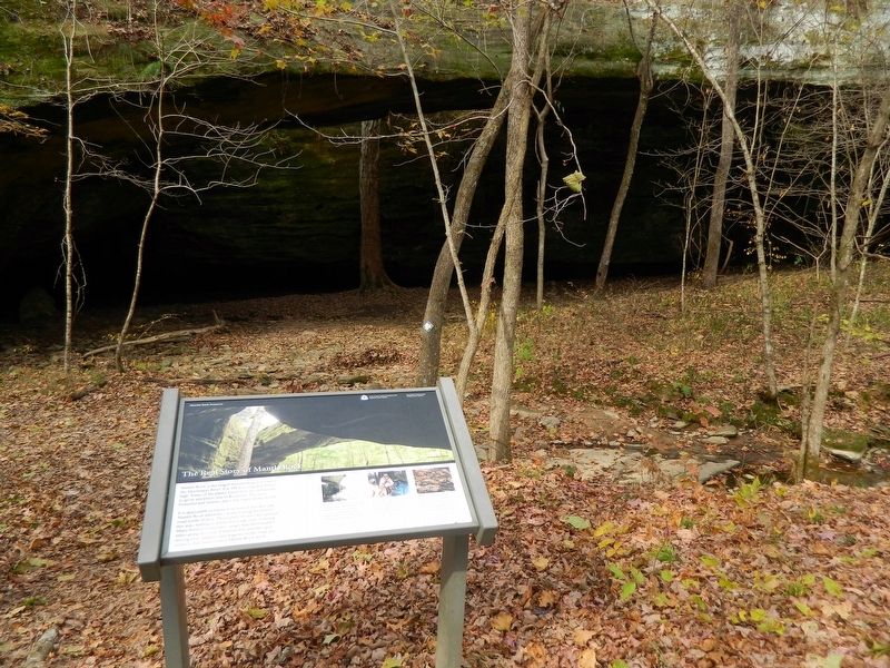 Area photo of The Real Story of Mantle Rock Marker image. Click for full size.