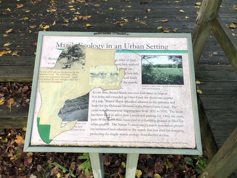 Marsh Ecology in an Urban Setting Marker. Click for full size. Marsh Ecology in an Urban Setting Marker image. Click for full size.
