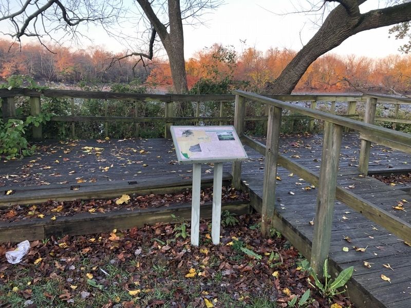 Marsh Ecology in an Urban Setting Marker. Click for full size. Marsh Ecology in an Urban Setting Marker image. Click for full size.