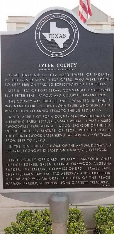 Tyler County Marker image. Click for full size.
