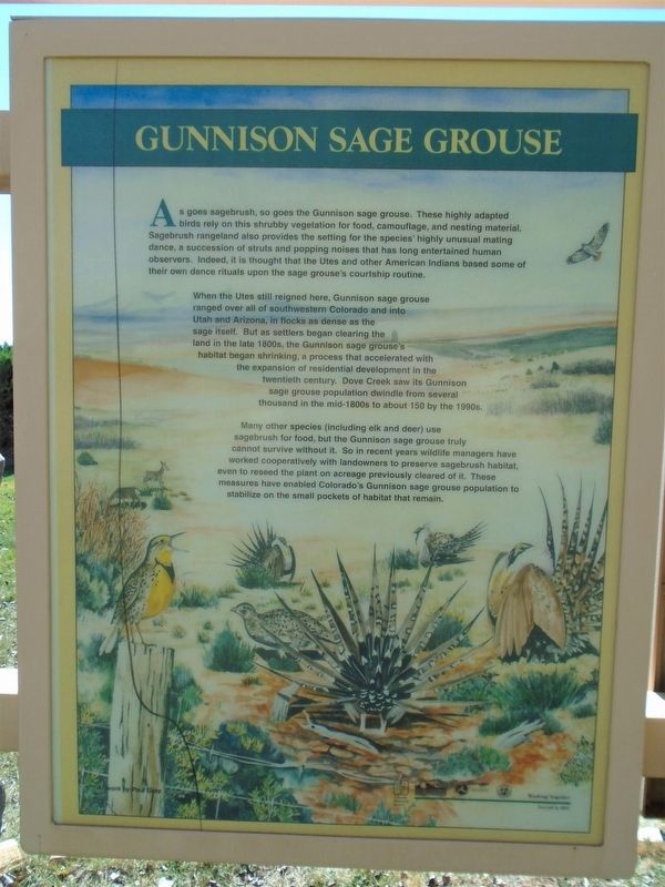 Gunnison Sage Grouse Marker image. Click for full size.
