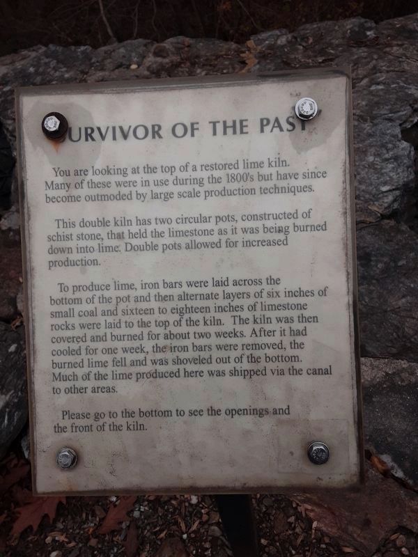 Survivor of the Past Marker image. Click for full size.