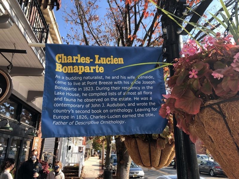 Charles-Lucien Bonaparte banner on display in Bordentown image. Click for full size.