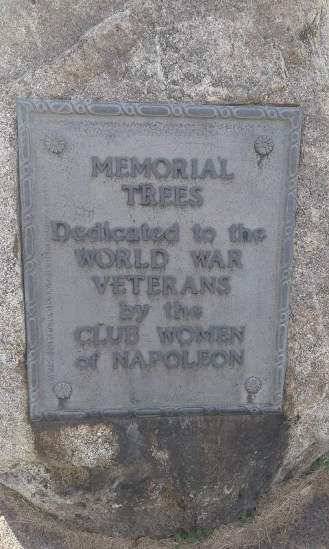 World War Veterans Memorial Trees Marker image. Click for full size.