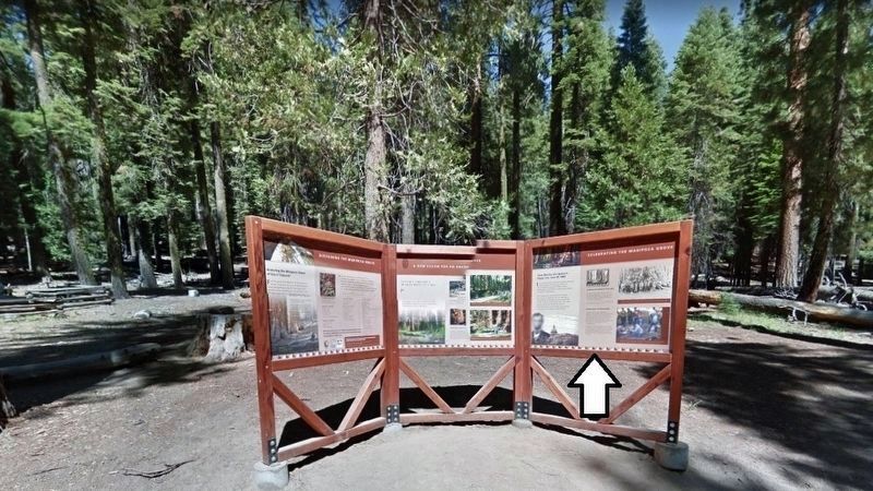Mariposa Grove of Giant Sequoias Interpretive Kiosk image. Click for full size.
