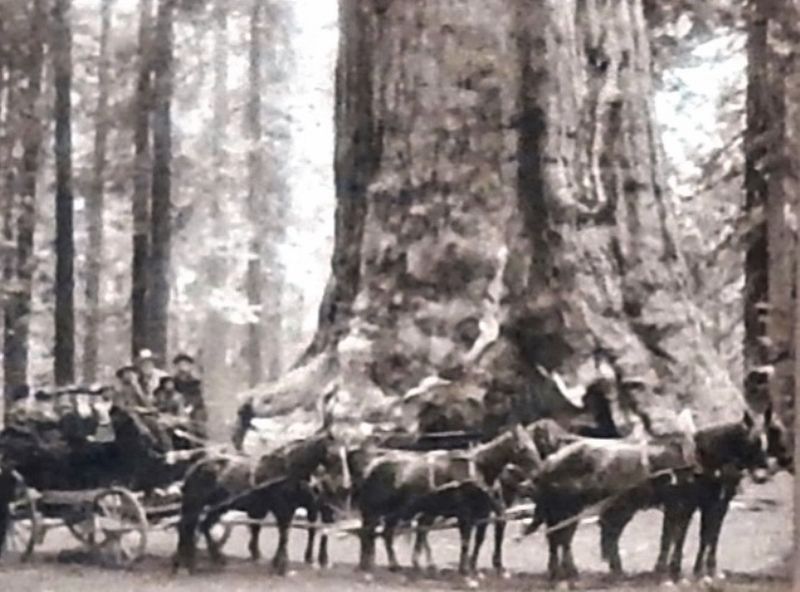 Marker detail: Stagecoaches. Click for full size. Marker detail: Stagecoaches image. Click for full size.
