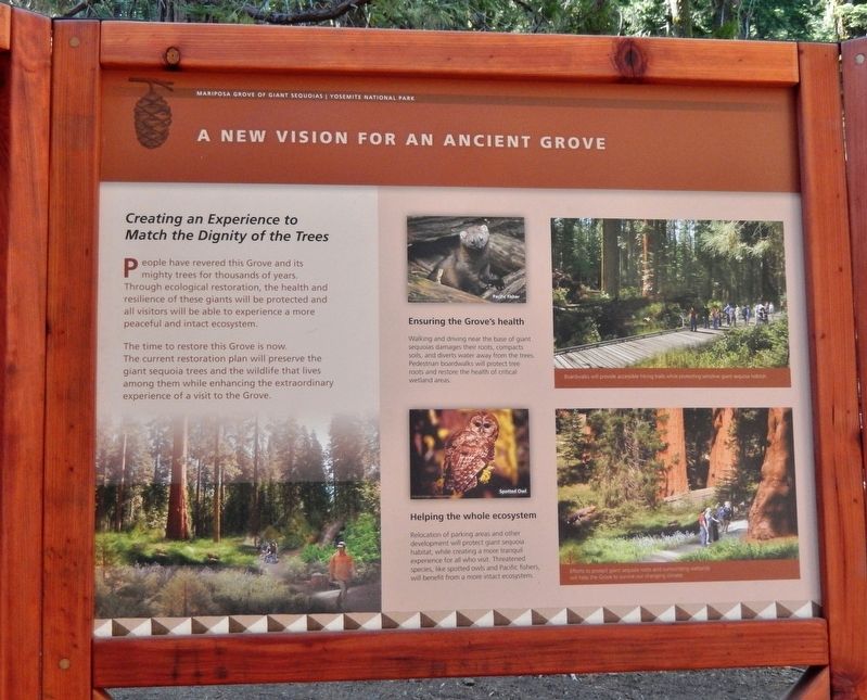 A New Vision for an Ancient Grove Marker image. Click for full size.
