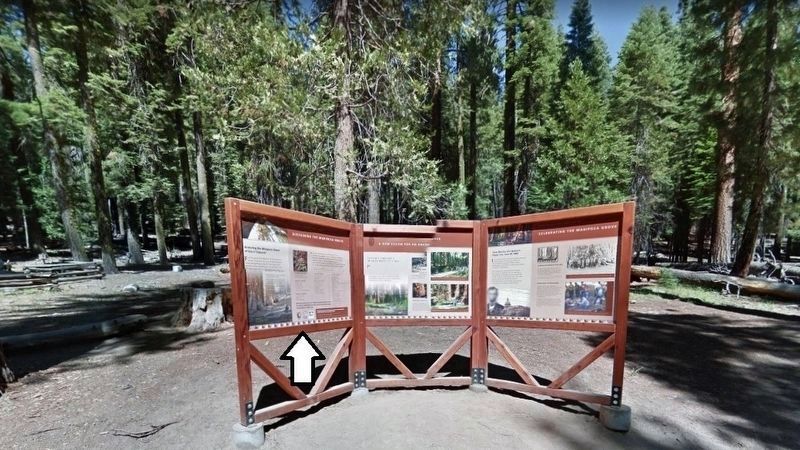 Mariposa Grove of Giant Sequoias Interpretive Kiosk image, Touch for more information