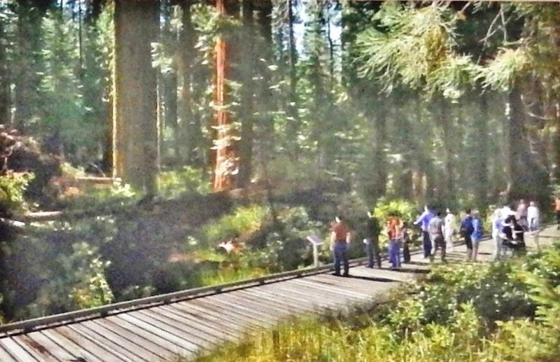 Marker detail: Boardwalks image. Click for full size.
