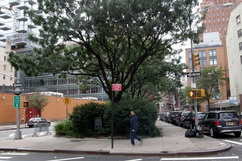 Finn Square Marker site. Click for full size. Finn Square Marker site image. Click for full size.