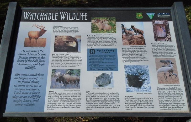 Watchable Wildlife Marker image. Click for full size.