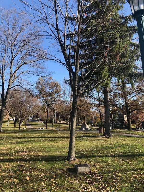 Thomas W. Dugan Memorial Tree image. Click for full size.