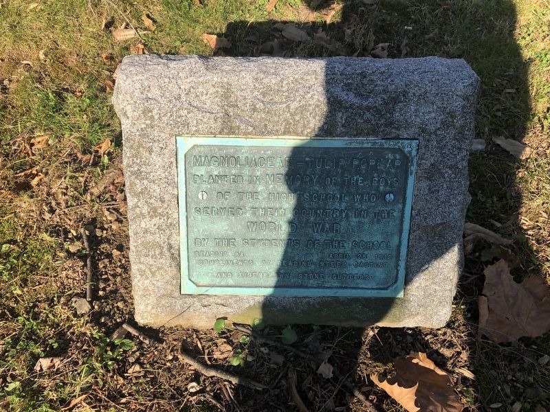 World War I Memorial Tree Marker image. Click for full size.