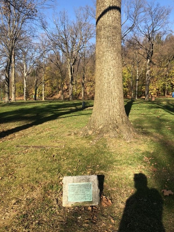 World War I Memorial Tree image. Click for full size.