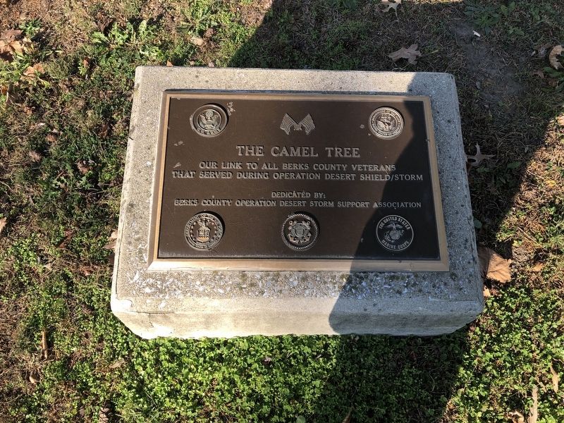 The Camel Tree Marker image. Click for full size.