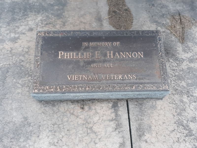 Vietnam Veterans Memorial image. Click for full size.