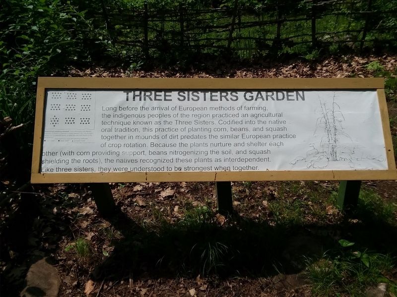 Three Sisters Garden Marker image. Click for full size.
