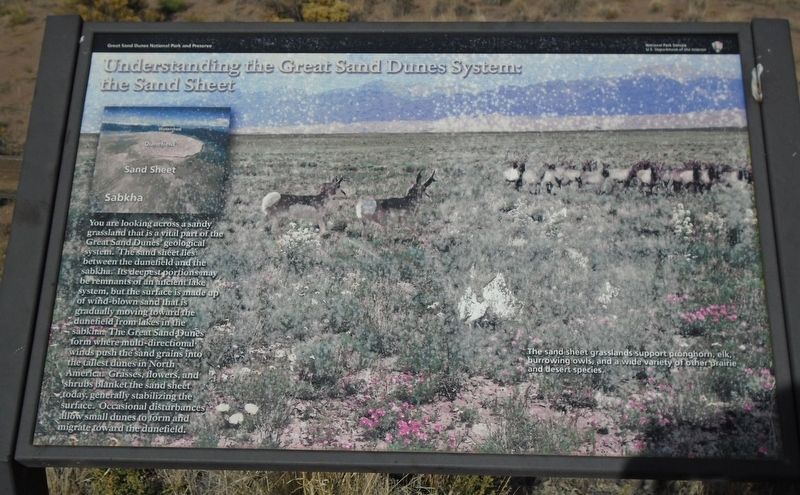 Understanding the Great Sand Dunes System: the Sand Sheet Marker image. Click for full size.