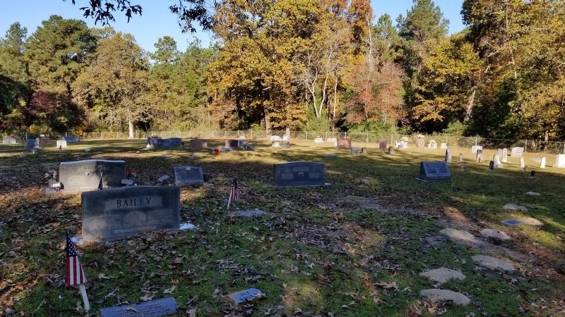 Savannah Cemetery. Click for full size. Savannah Cemetery image. Click for full size.