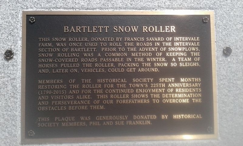 Bartlett Snow Roller Marker image. Click for full size.