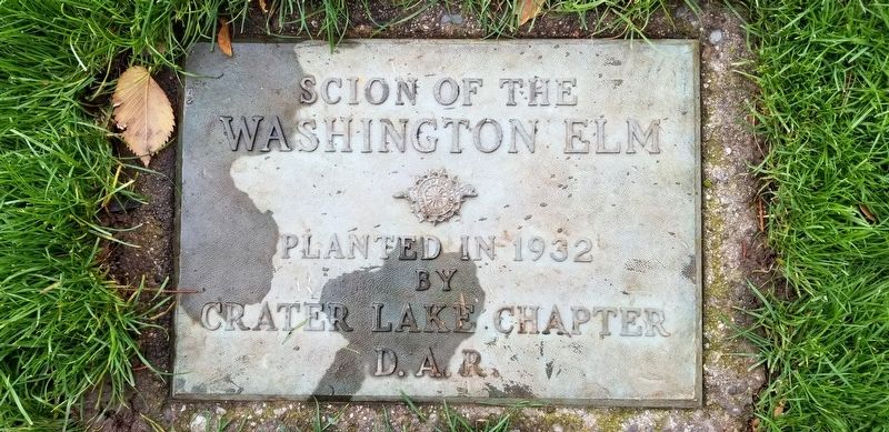 Scion of the Washington Elm Marker image. Click for full size.