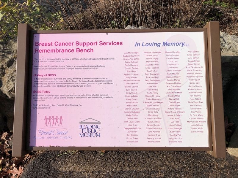 Breast Cancer Support Services Marker. Click for full size. Breast Cancer Support Services Marker image. Click for full size.