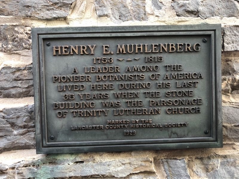 Henry E. Muhlenberg Marker. Click for full size. Henry E. Muhlenberg Marker image. Click for full size.