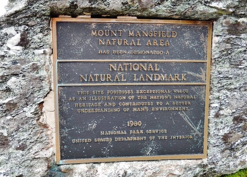 Mount Mansfield Natural Area Marker image. Click for full size.