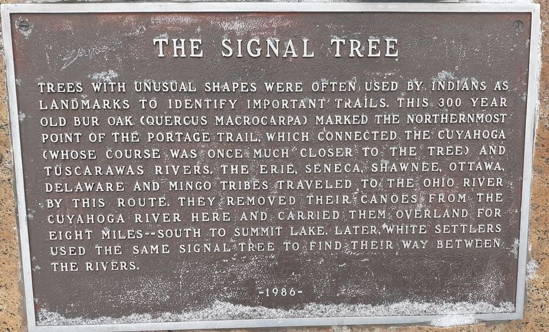 The Signal Tree Marker image. Click for full size.