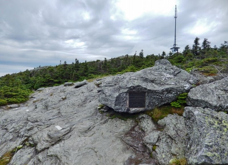Mount Mansfield Natural Area Marker image. Click for full size.