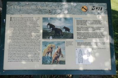 A Pleistocene Wonderland Marker image. Click for full size.