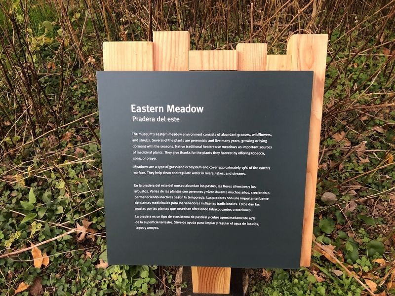 Eastern Meadow Marker. Click for full size. Eastern Meadow Marker image. Click for full size.