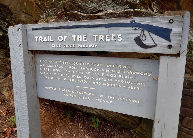 Trail of the Trees Marker image. Click for full size.