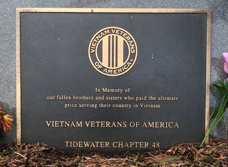 Vietnam Veterans of America image. Click for full size.