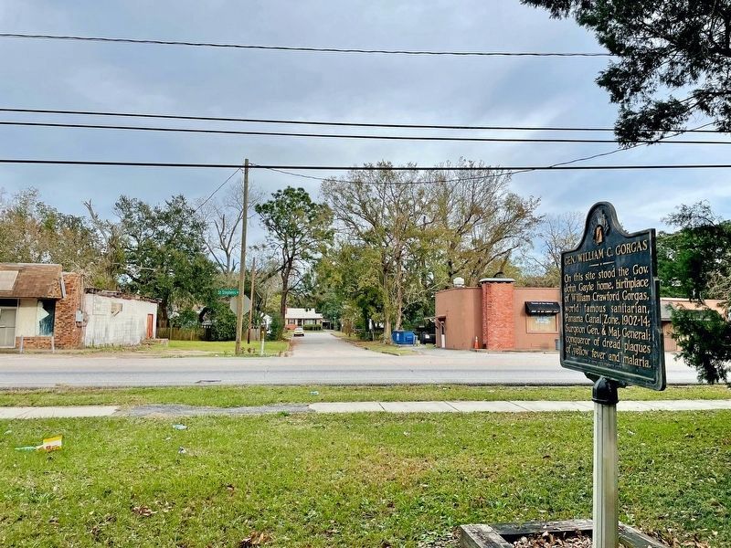 Looking east towards Rosemont Ave. image. Click for full size.