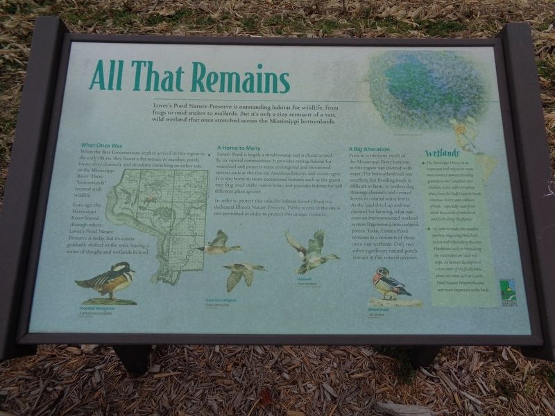 All That Remains Marker image. Click for full size.