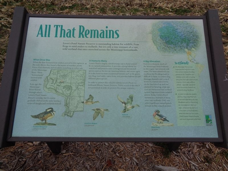 All That Remains Marker image. Click for full size.