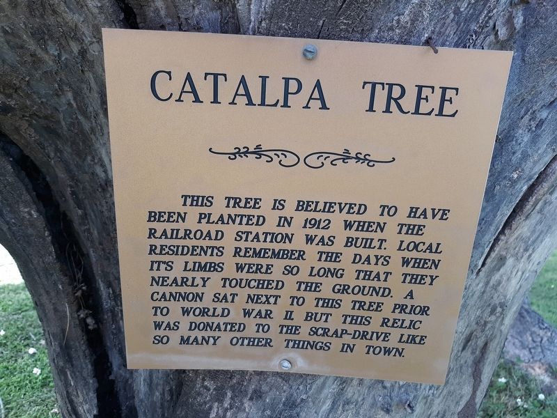 Catalpa Tree Marker. Click for full size. Catalpa Tree Marker image. Click for full size.