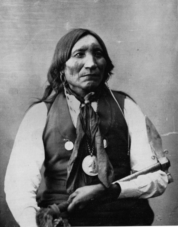 Gui'pago (Lone Wolf) - Chief of the Kiowa tribe image. Click for full size.