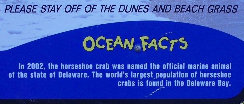 Ocean Facts Marker. Click for full size. Ocean Facts Marker image. Click for full size.
