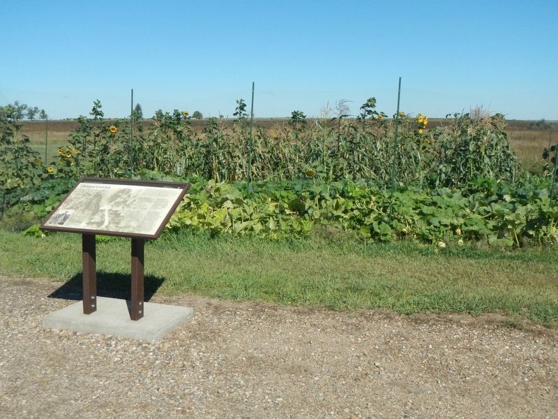 Hidatsa Garden and Marker image. Click for full size.
