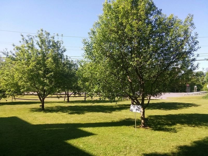 The Orchard at Old Fort Johnson Marker. Click for full size. The Orchard at Old Fort Johnson Marker image. Click for full size.