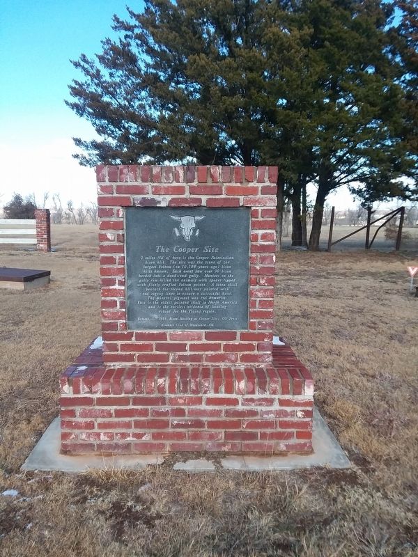 The Cooper Site Marker image. Click for full size.