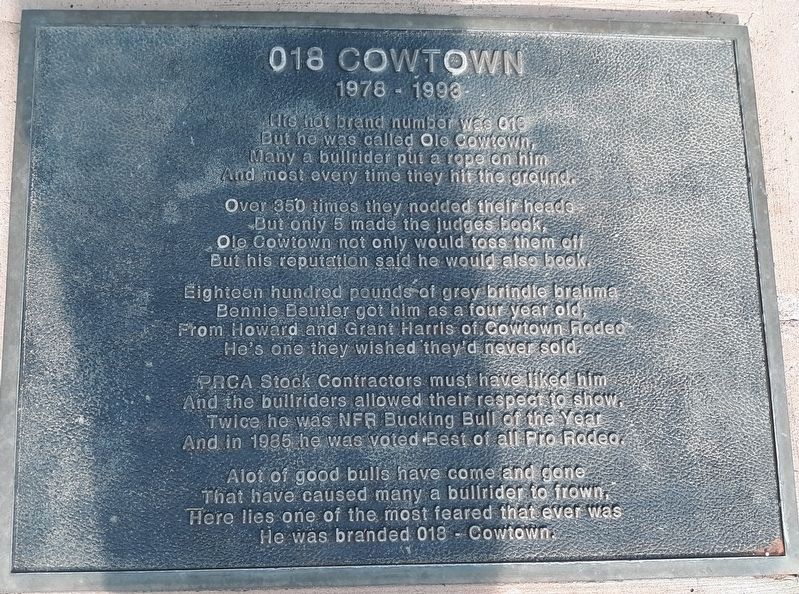018 Cowtown Marker. Click for full size. 018 Cowtown Marker image. Click for full size.